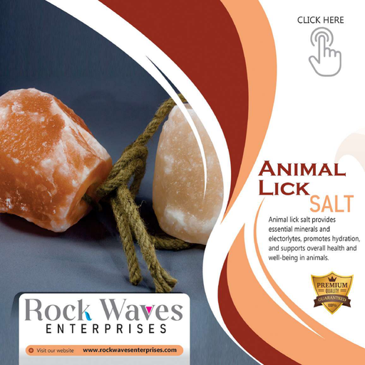 Animal Lick Salt