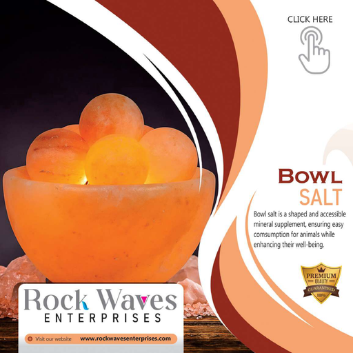 Bowl Salt