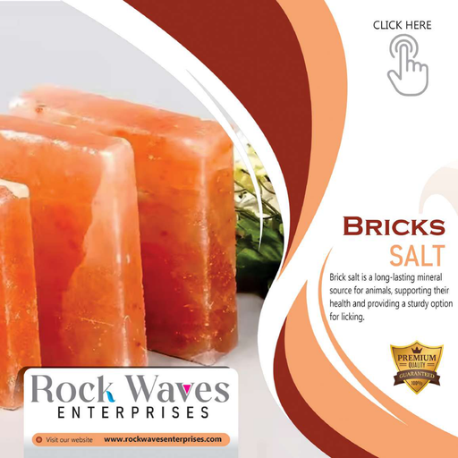 Bricks Salt